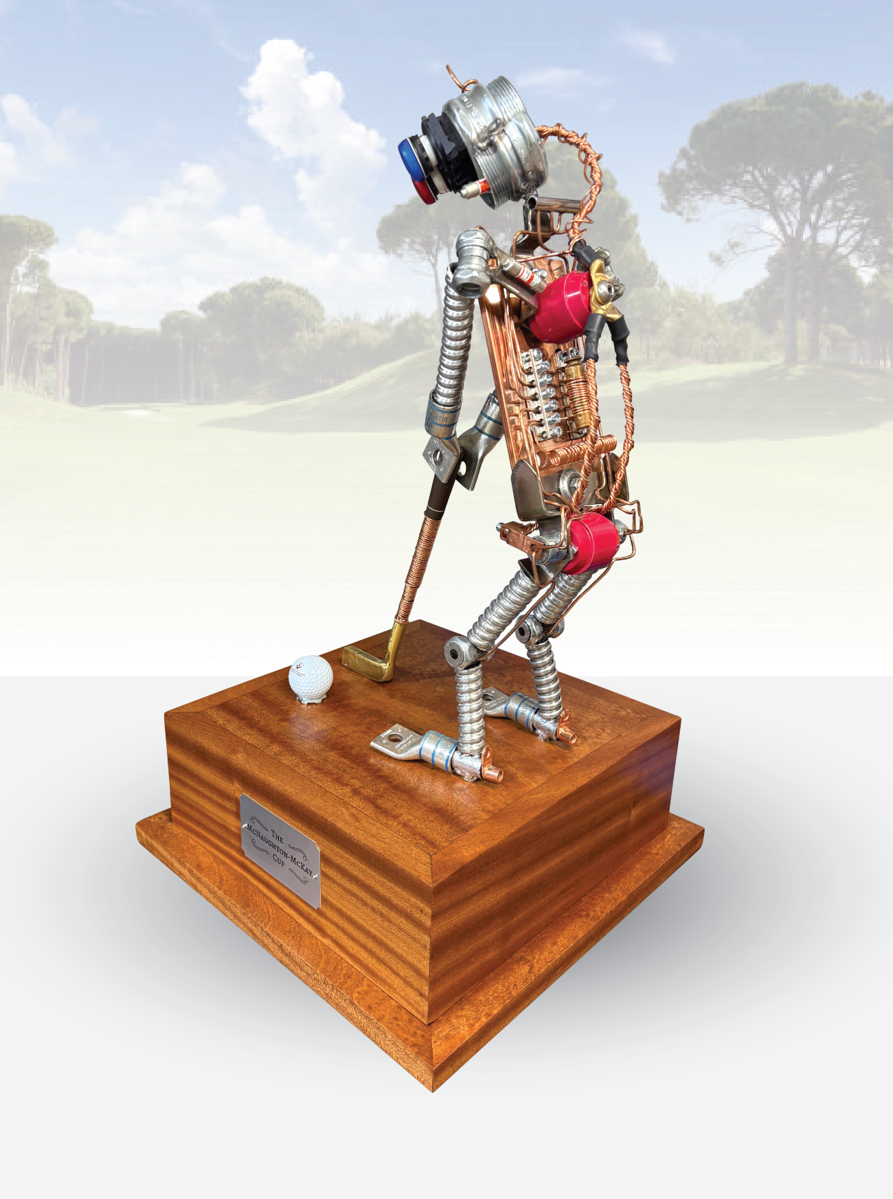 There is a fountain in the middle of the garden surrounded by trees.