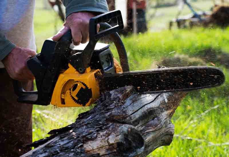 Landscaping  —Cutting Trees Using Chainsaw in Okeechobee, FL