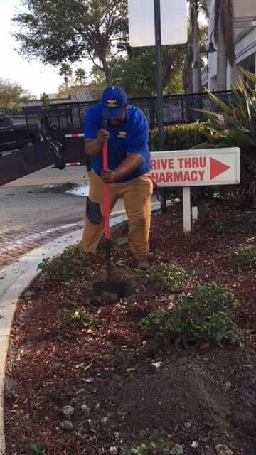 Shrub Trimming — Man in Drive Thru Pharmacy One in Okeechobee, FL