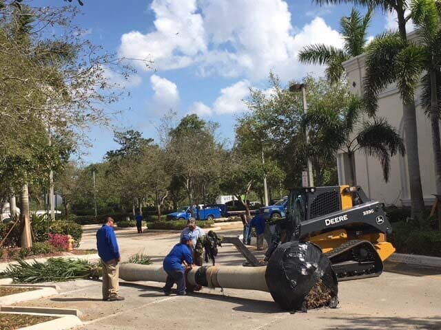 Hurricane Clean Up — Workers Cleaning The Tree in Okeechobee, FL