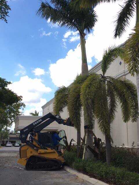 Hurricane Clean Up | Okeechobee, FL | Nunez Lawn Care & Landscaping Inc