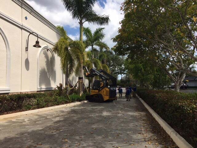 Tree Service — Forklift, Workers and Trees  in Okeechobee, FL