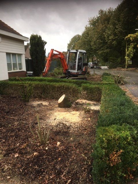 Snijders_grondwerk_01