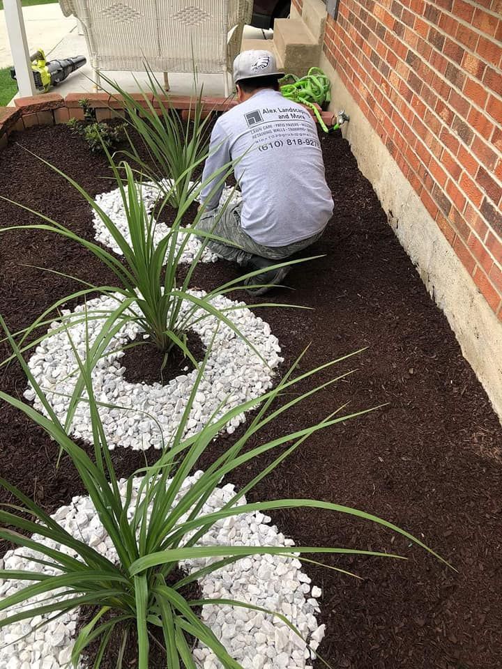A man is kneeling down in a garden with white rocks and plants.