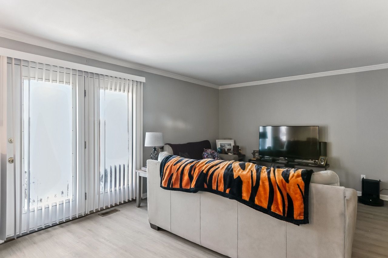 Living room with light gray walls, white trim, and a beige sofa with a tiger-striped blanket.