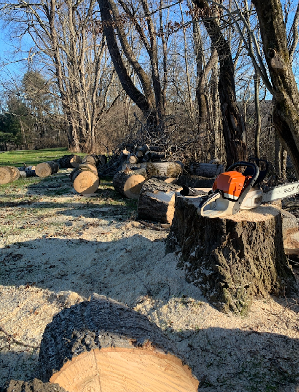 A chainsaw is sitting on top of a tree stump.