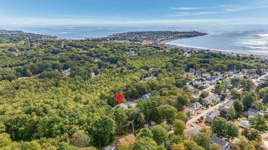 Aerial view of a wooded area with houses and a body of water in the background.