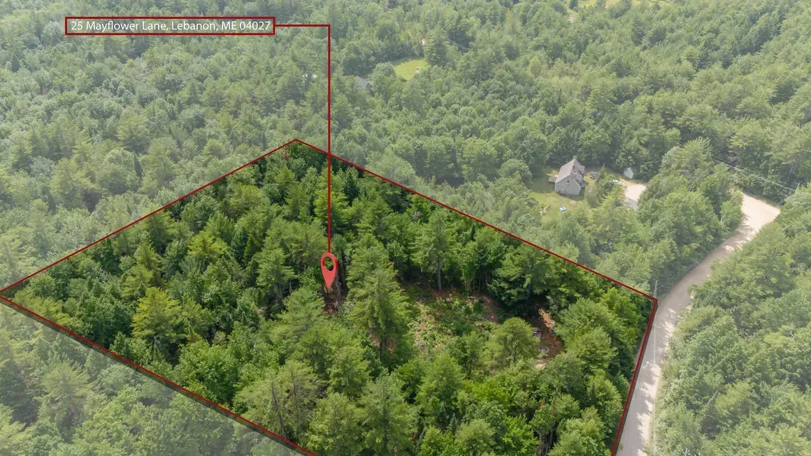 Aerial view of wooded land parcel outlined with a road, and a building in the background.