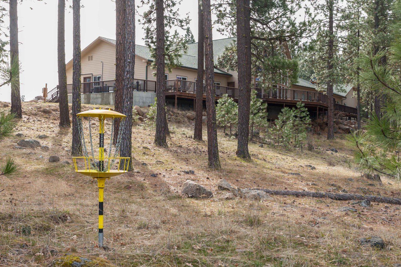 A yellow frisbee golf basket is in the middle of a forest.