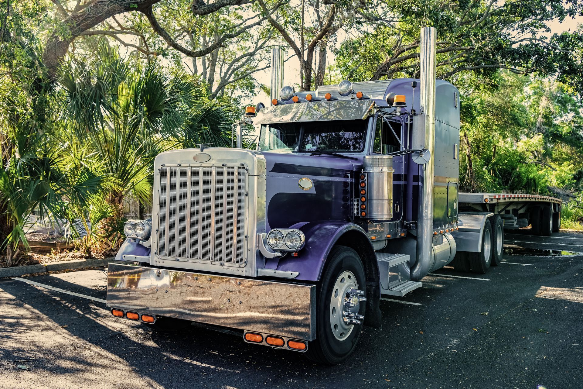 A purple semi truck is parked on the side of the road.