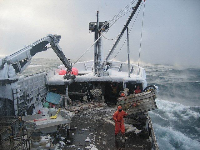 A boat with a crane on top of it in the ocean