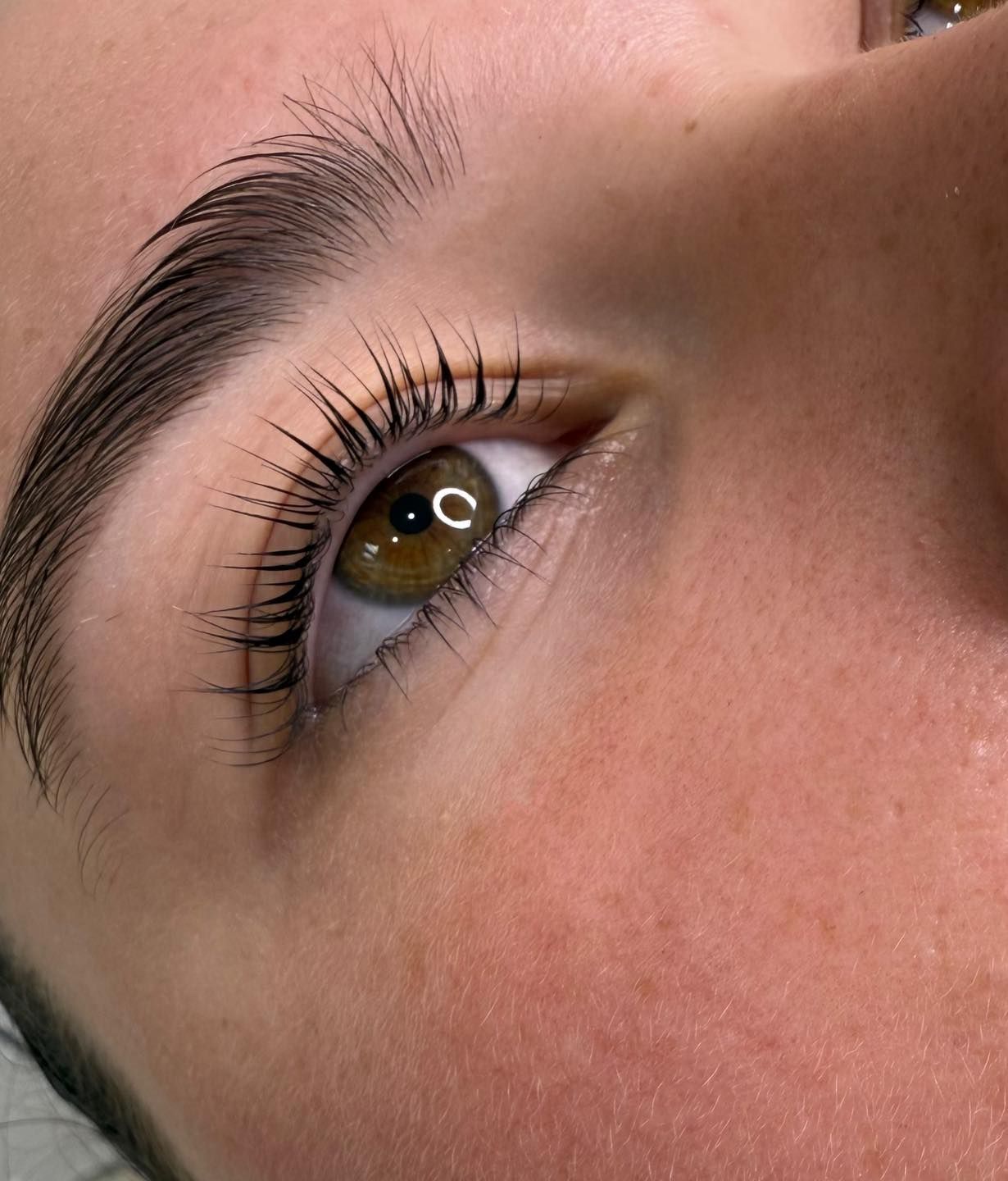 Close-up of an Eye With Lifted Lashes and Arched, Shaped Eyebrow — Aspire Beauty & Nails in Wagga Wagga, NSW