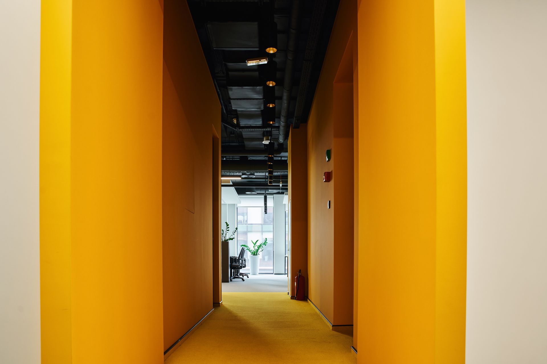 Bright orange hallway with doors leading to a light-filled office space