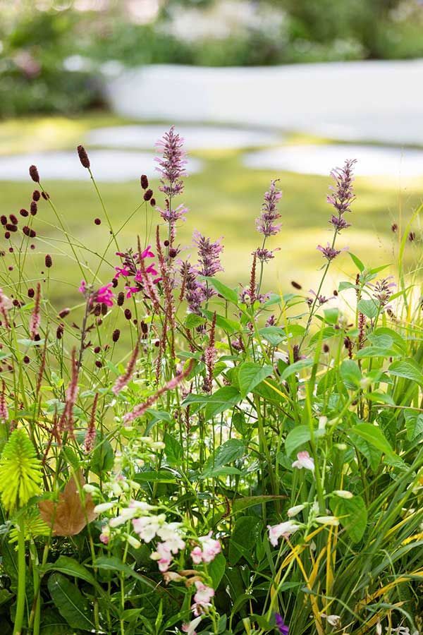 Melbourne Flower and Garden Show 2025