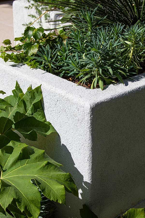 Planter box with light gray, textured surface, filled with green plants and foliage.