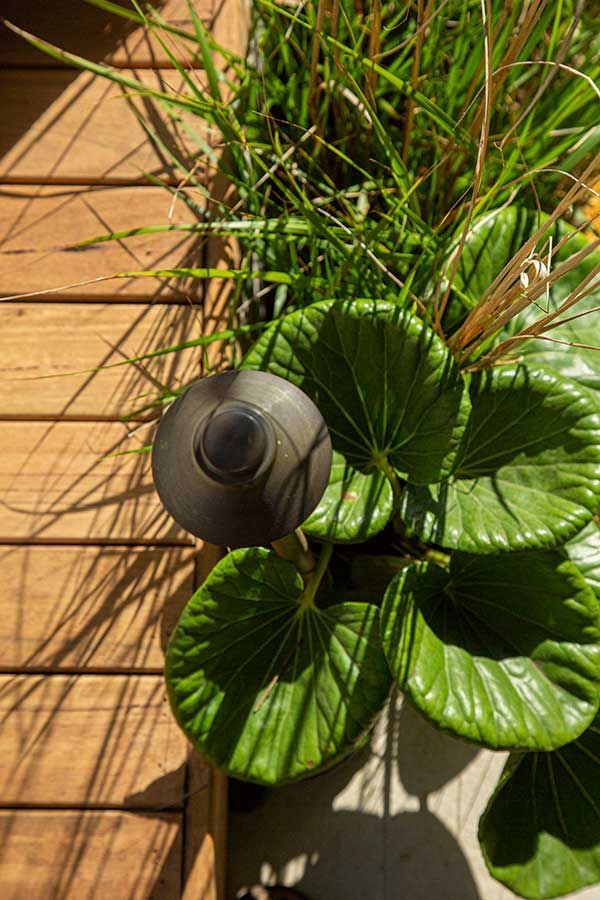 Bronze landscape spotlight surrounded by green foliage, next to wooden siding.