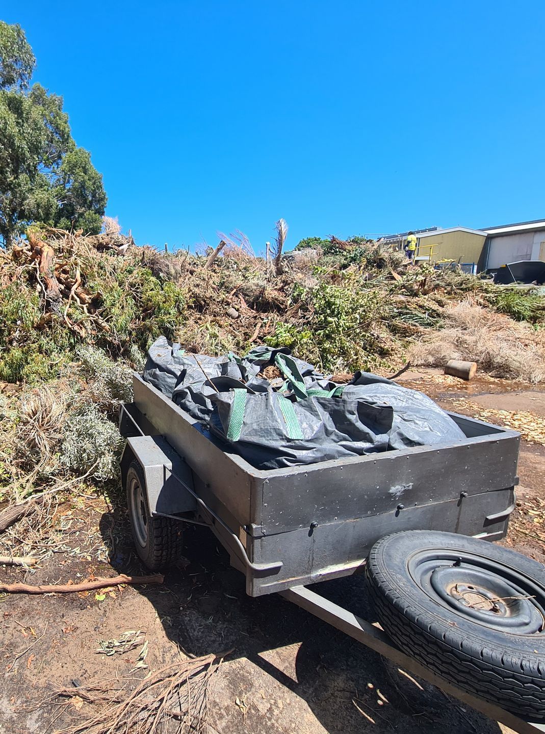 Green waste removal Balcatta completed job