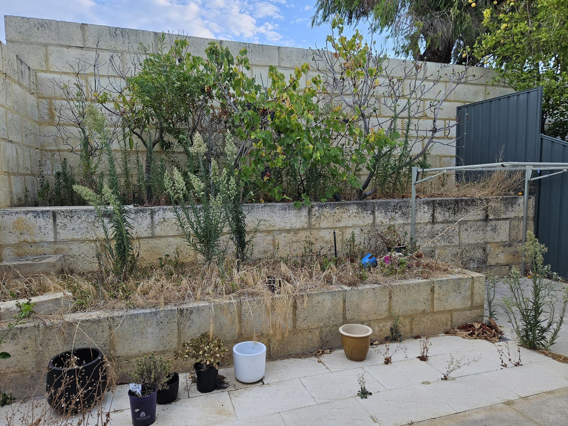 before weeding services mt hawthorn