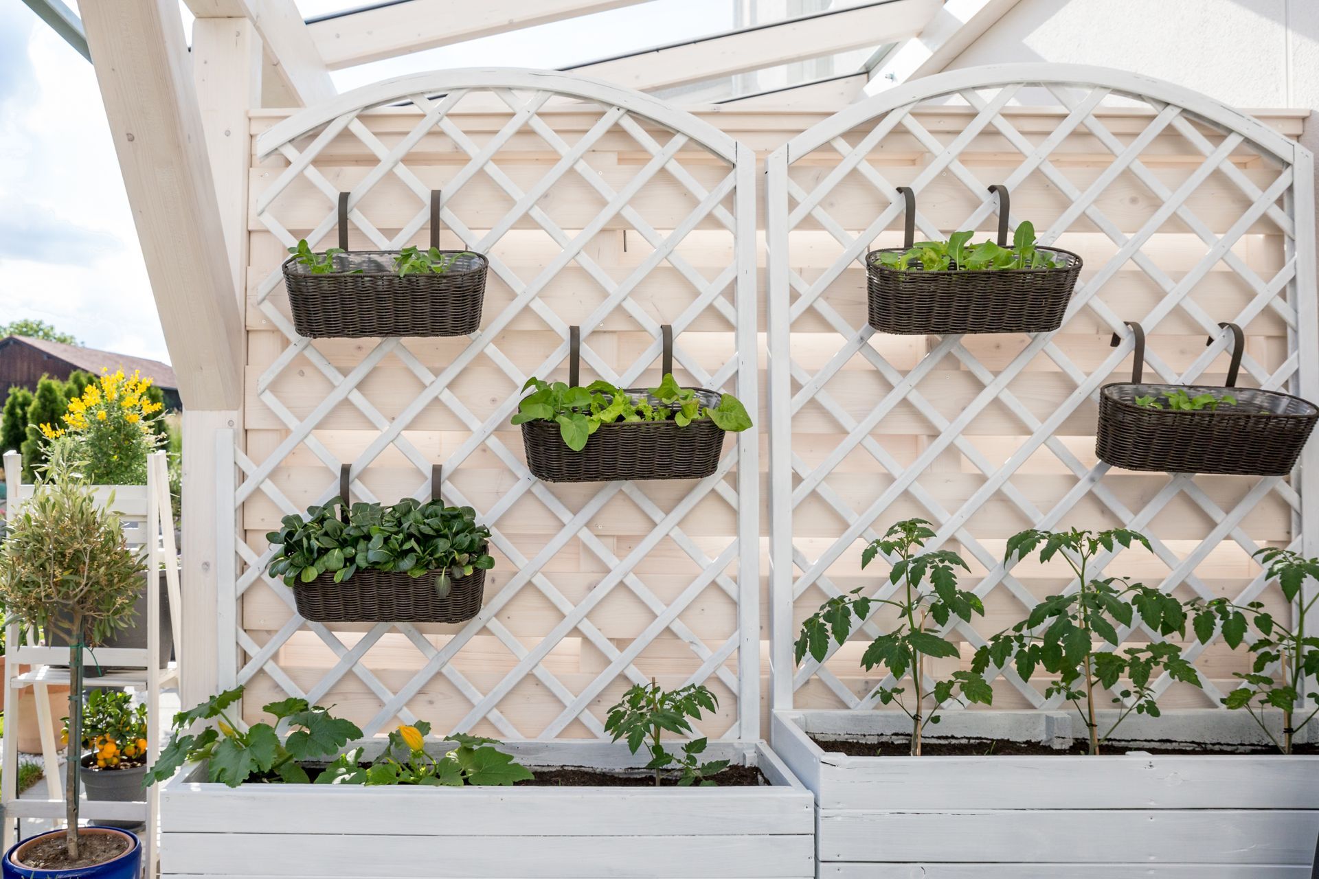White trellis with potted plants