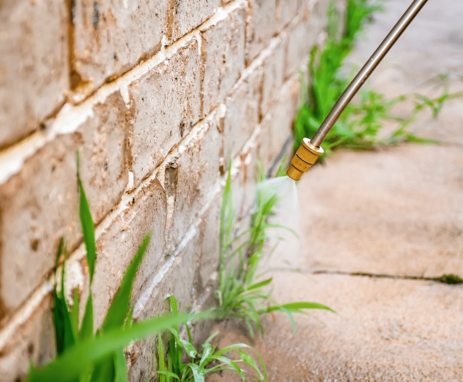 How to Get Rid of Weeds in Pavers & Bricks