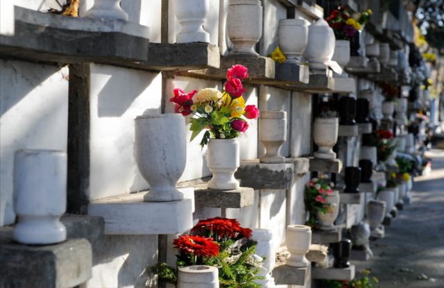 追跡あり/匿名配送】Cremation Ritual 4枚 追跡あり/匿名配送