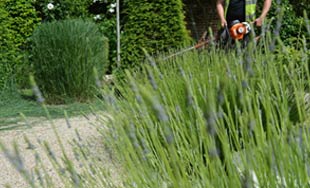 large commercial  grounds