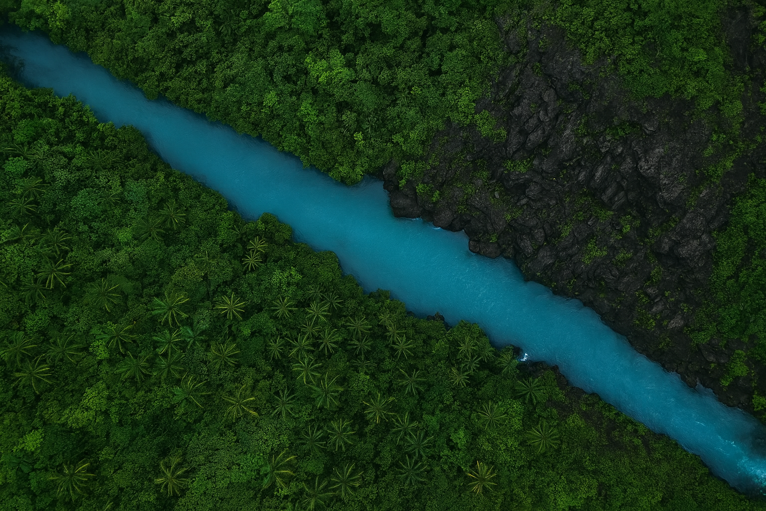 Tropical river separating a diminished forest from a thriving one