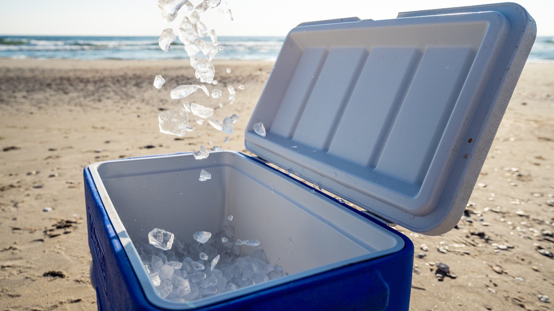 Your 1 Beach Setup and Equipment Rental in Corolla