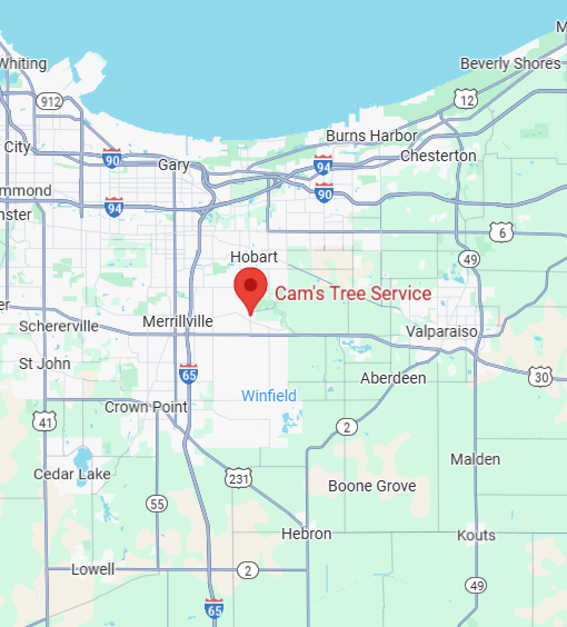 Service Area