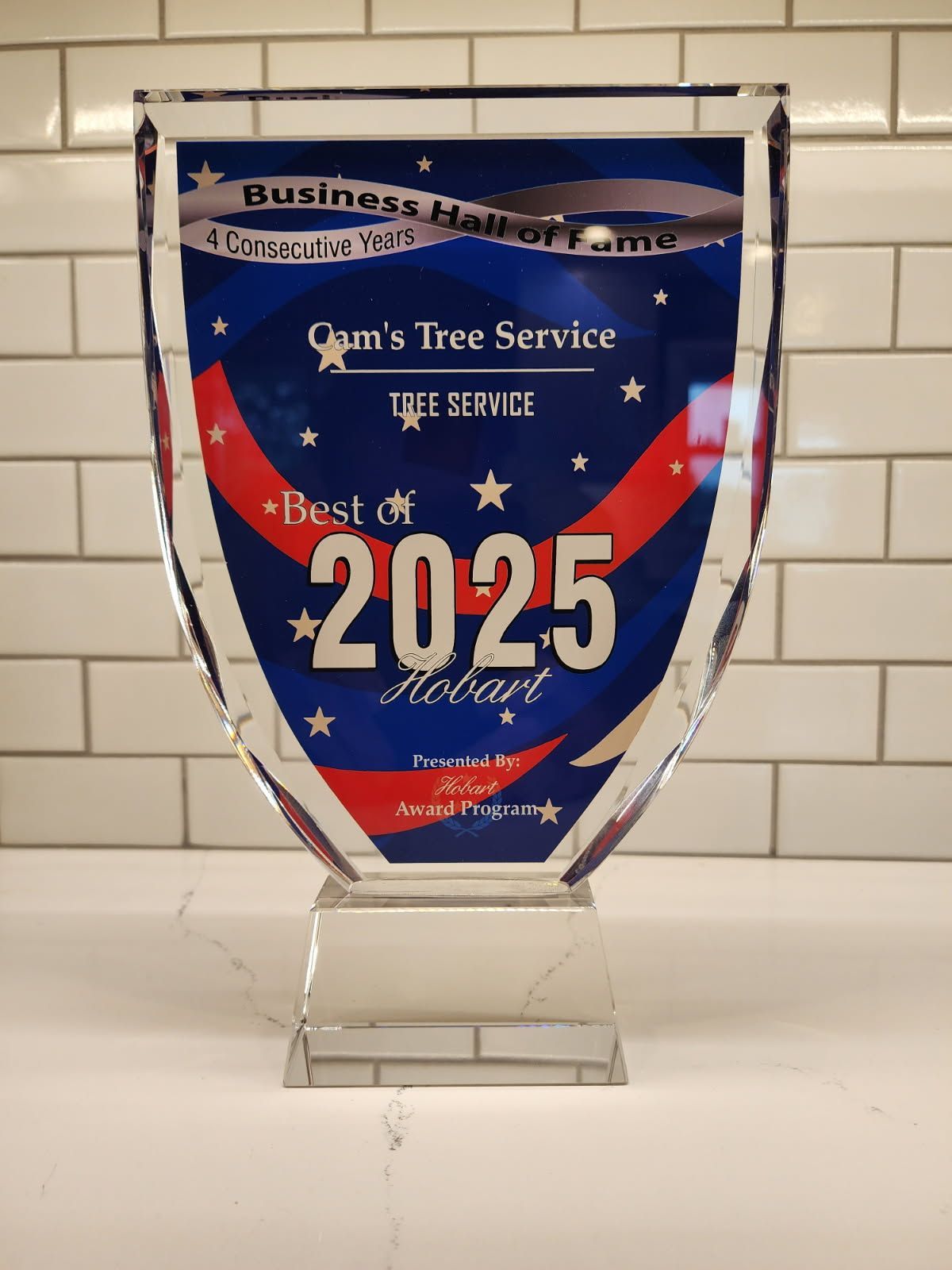 Best Tree Service Company 2025
