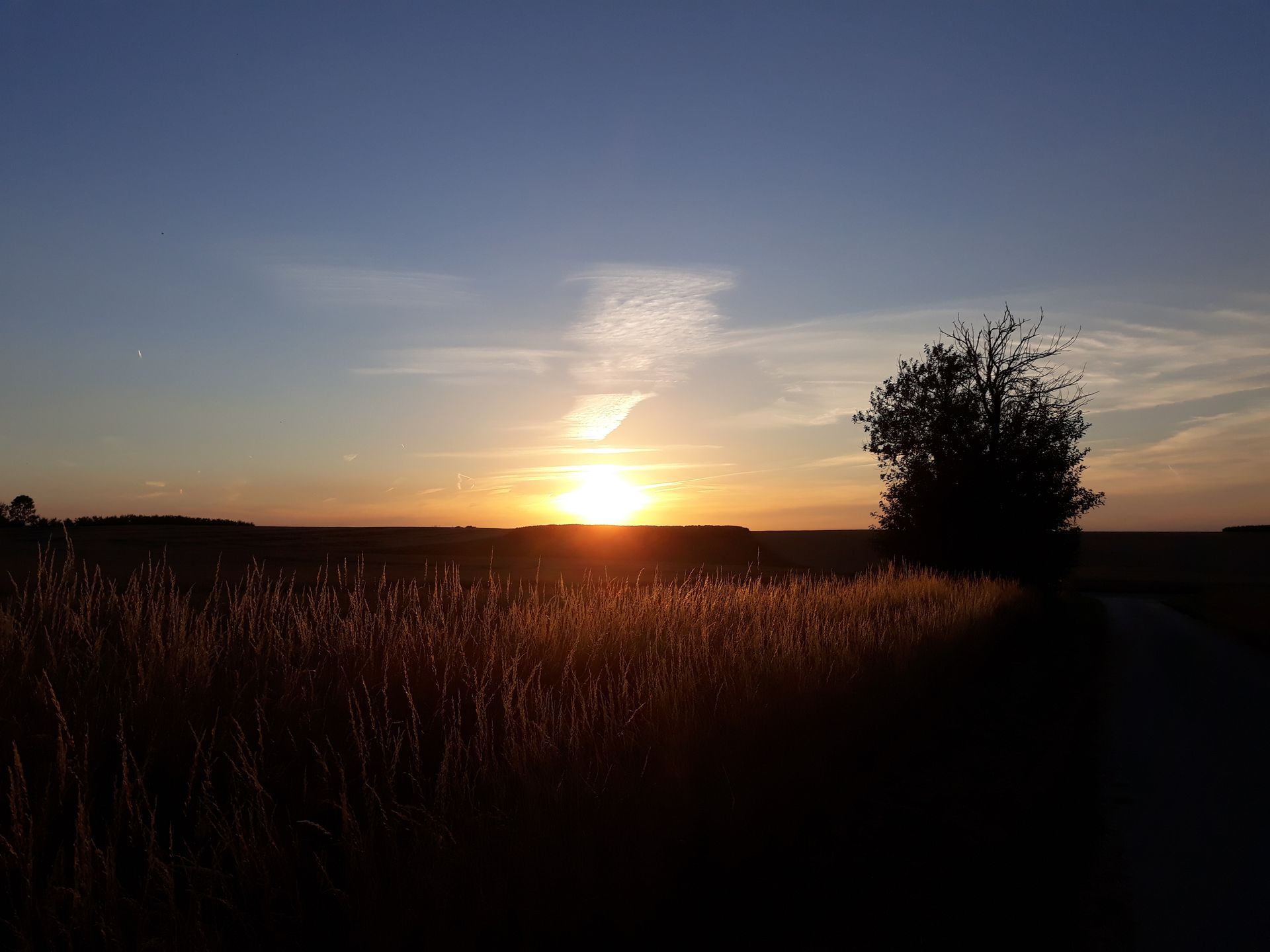 Vespa Experience : onze mooie Haspengouwse velden