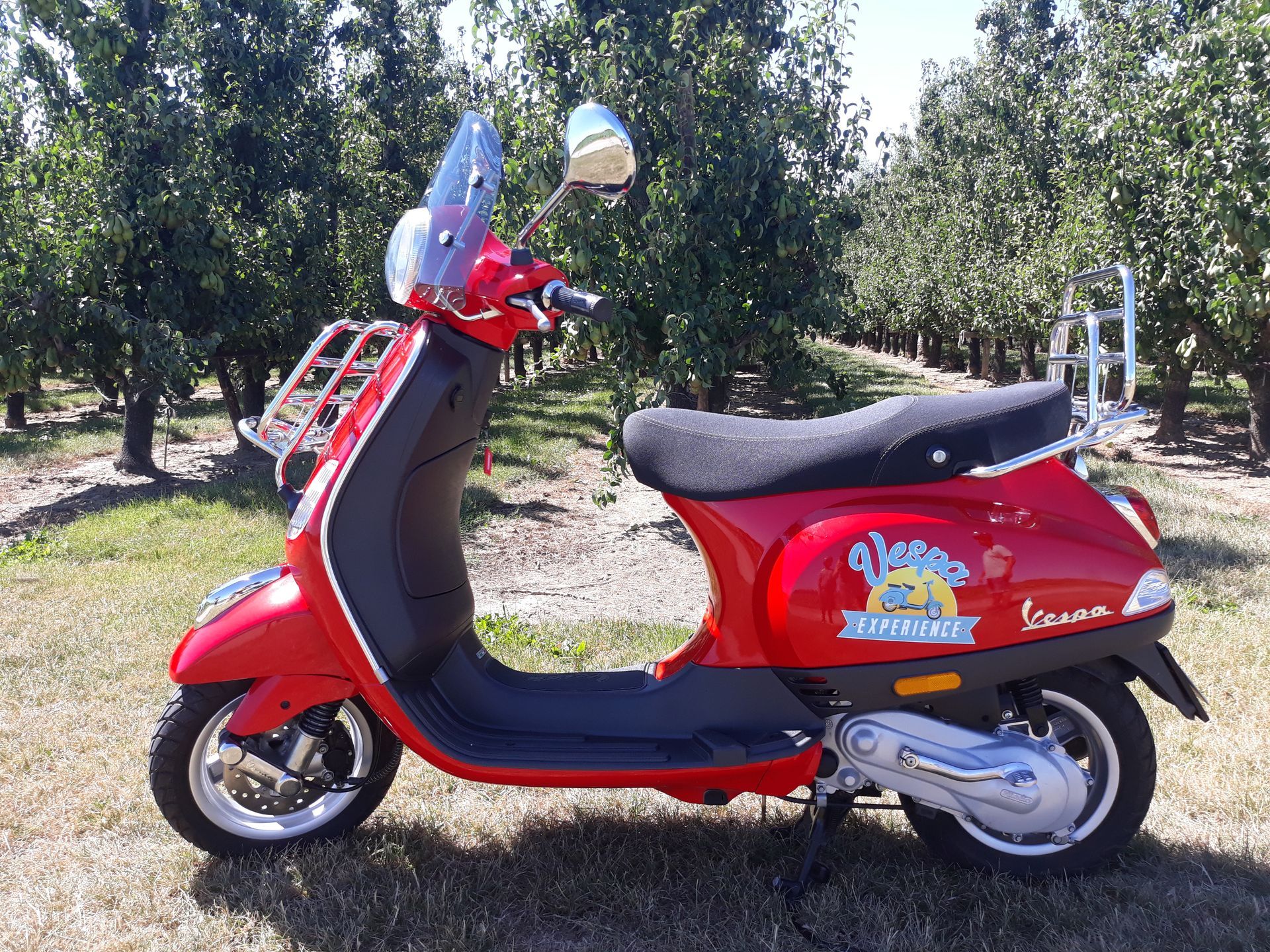 vespa experience haspengouw