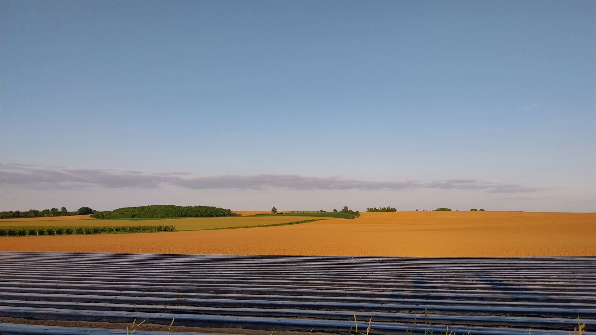 vespa experience haspengouw velden