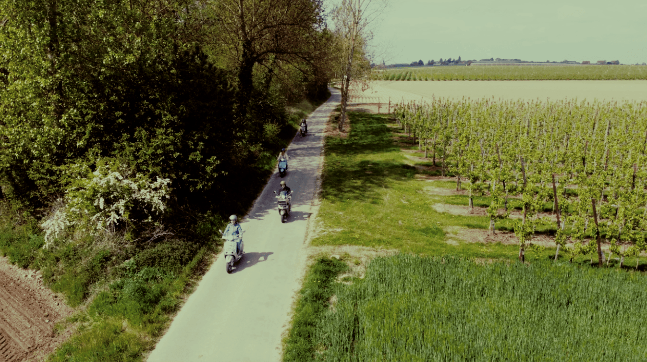 vespa experience haspengouw route