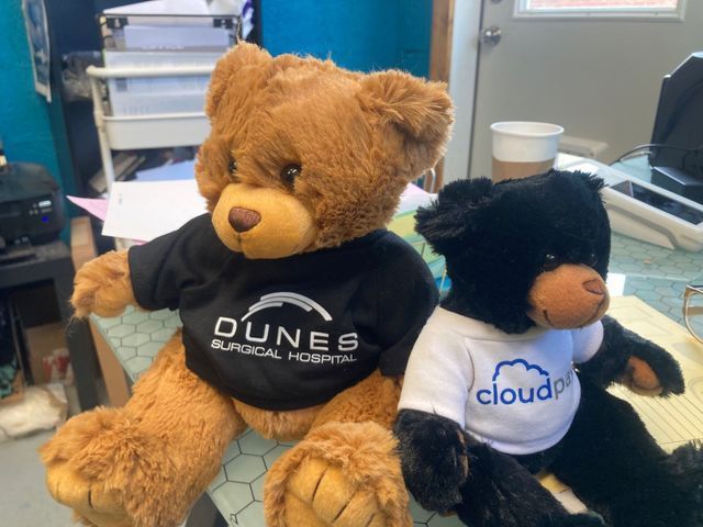 Two teddy bears wearing branded t-shirts; one brown, one black.