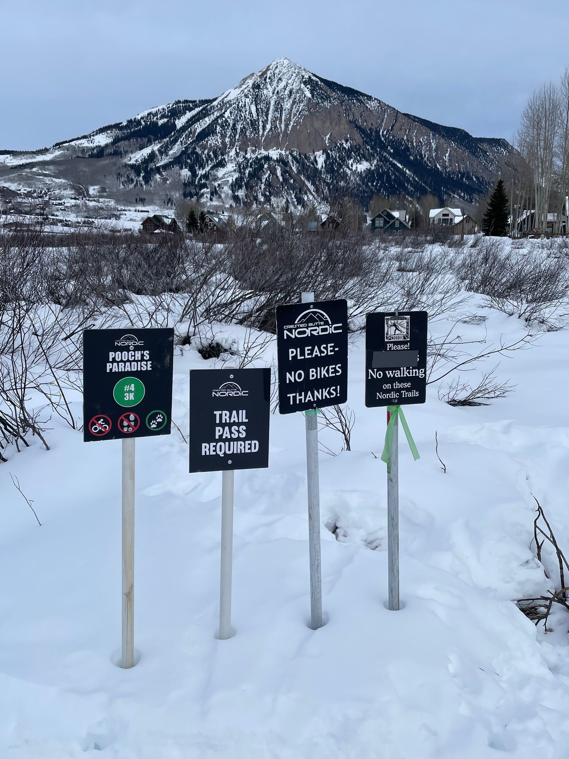 Four signs in snow, in front of a mountain. Signs give trail information and instructions.