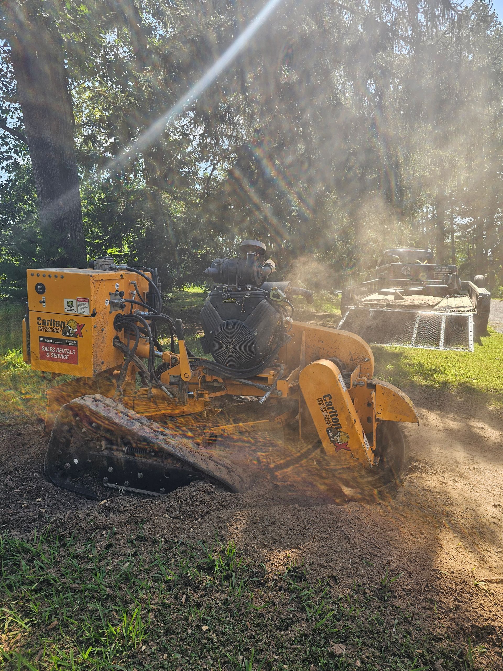 A yellow stump grinder cuts into a tree stump, surrounded by wood chips on the ground near a vehicle.