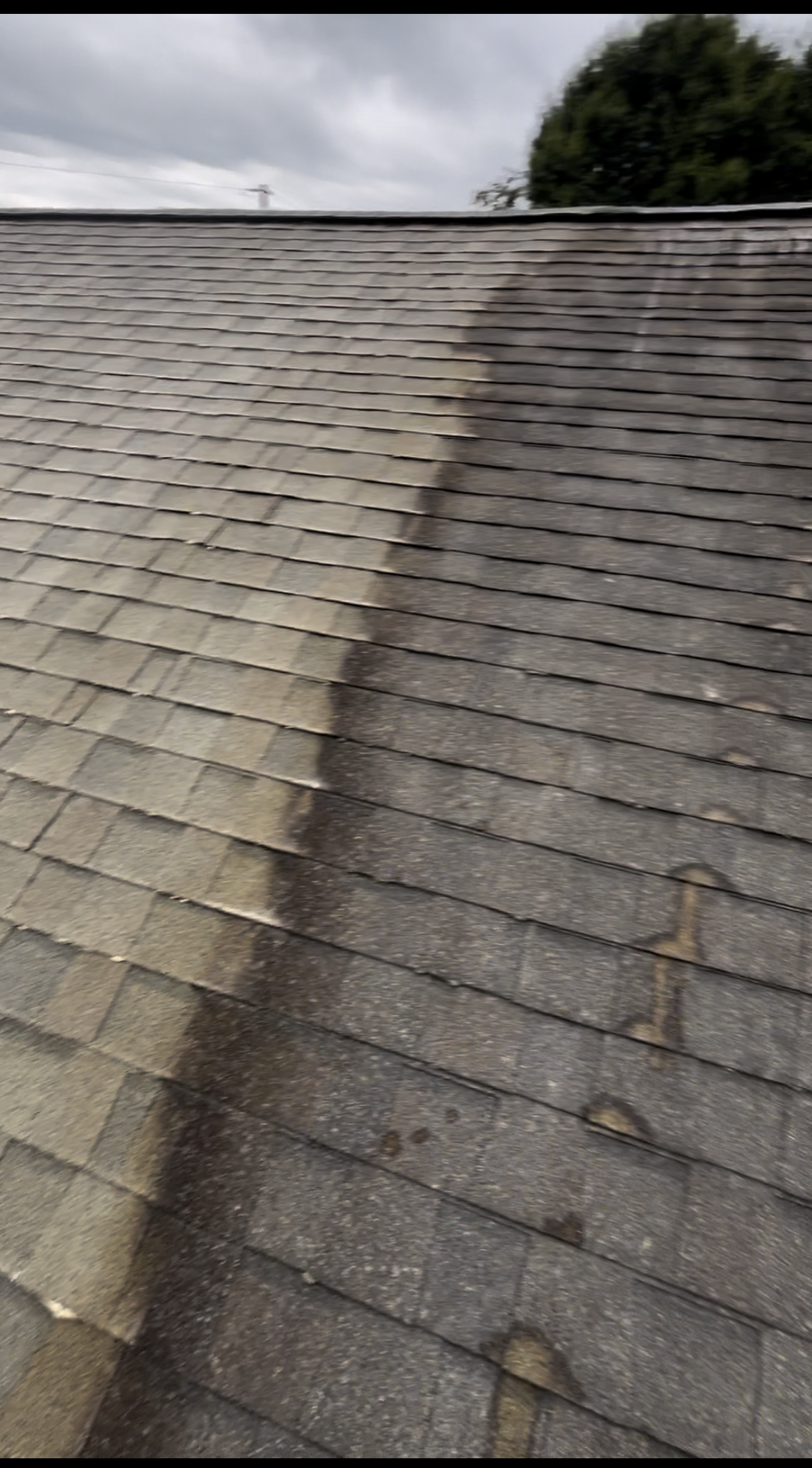 A picture of a roof before and after being cleaned.