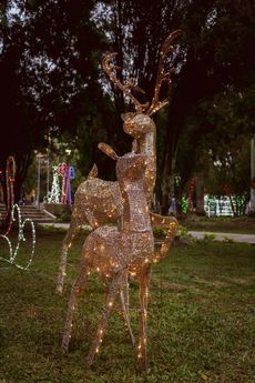 Two reindeer made of lights are standing next to each other in a park.