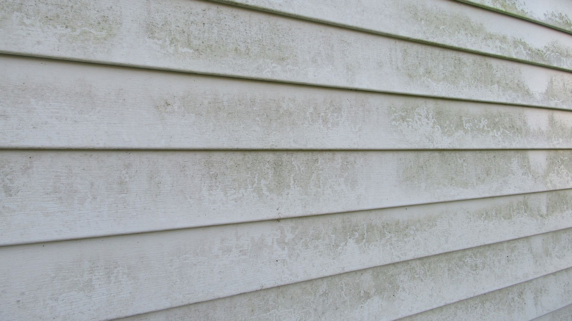 White vinyl siding with green mildew.