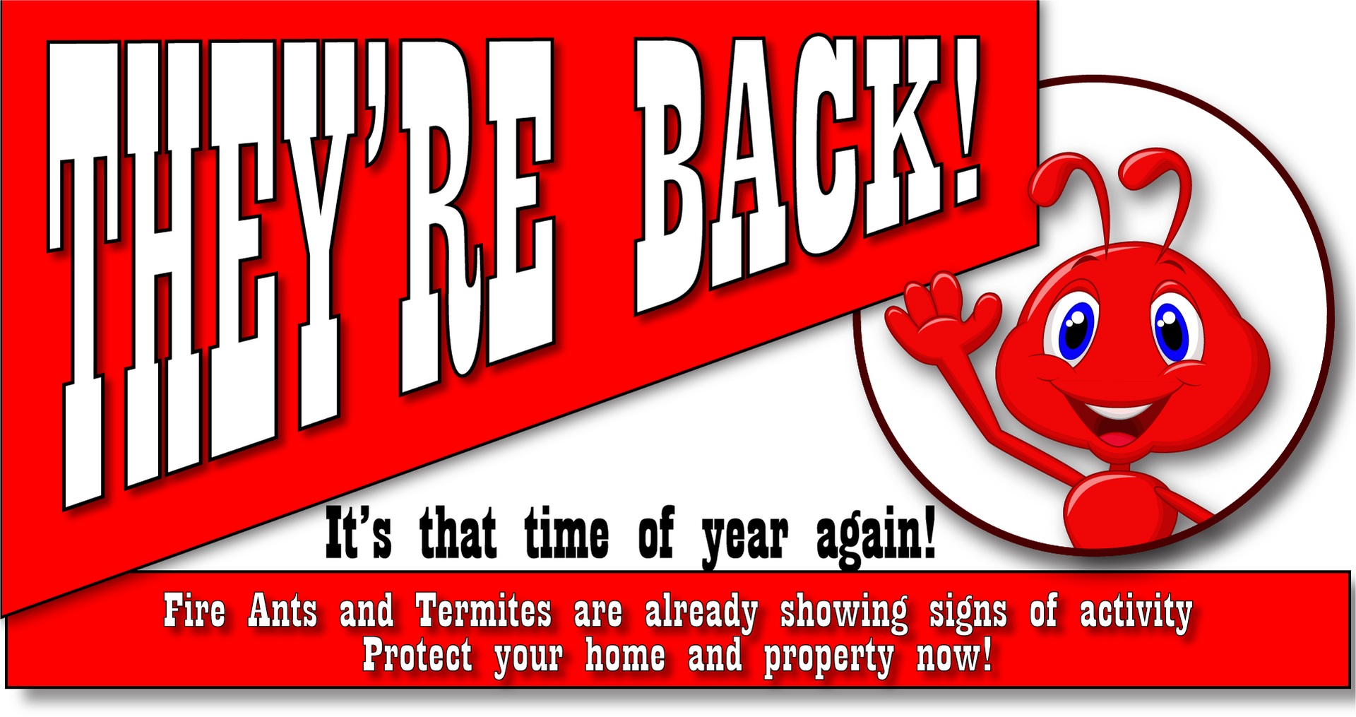 They're Back [picture of Fire Ant]