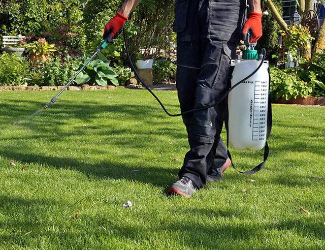 2 Gal. Turf Agricultural Compression Sprayer – Weed & Pest Control For Lawn Care, Handheld 2 thumbnail image