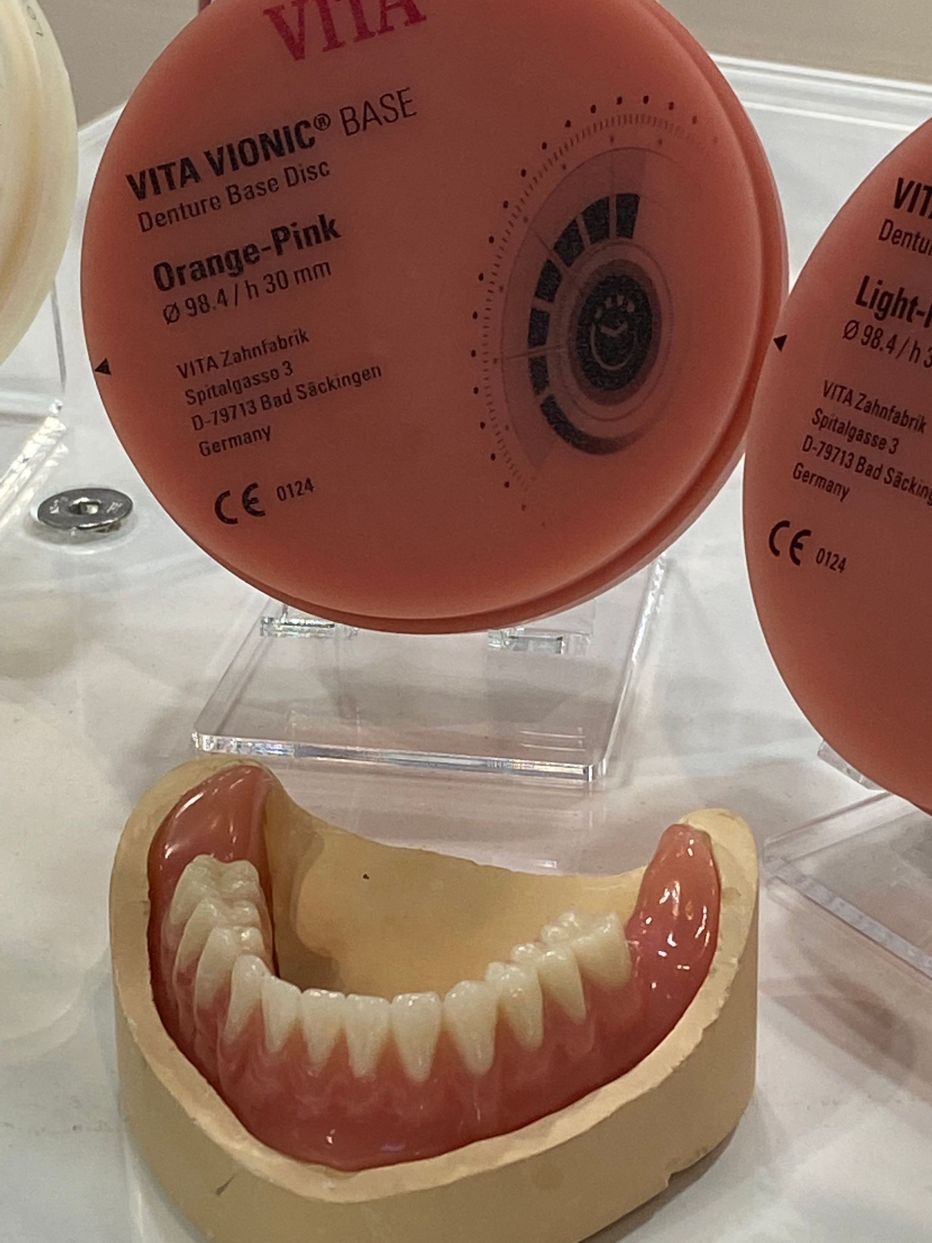 Dental Model With Dentures, Next to a Pink Vita Vionic Denture Base — My Denture Clinic in Armidale, NSW