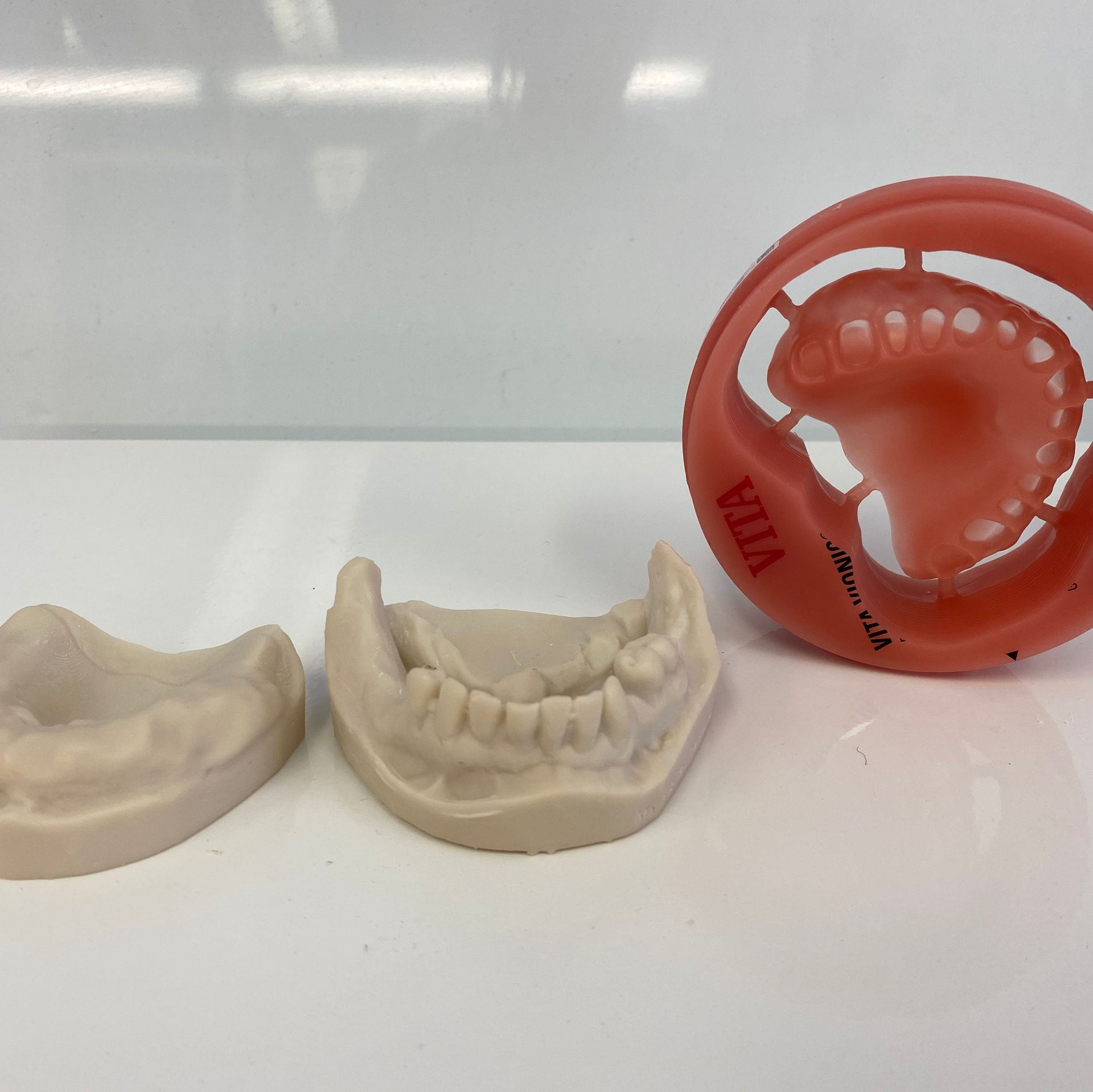 Three Dental Models: One Pink, Two Beige — My Denture Clinic in Gold Coast, QLD