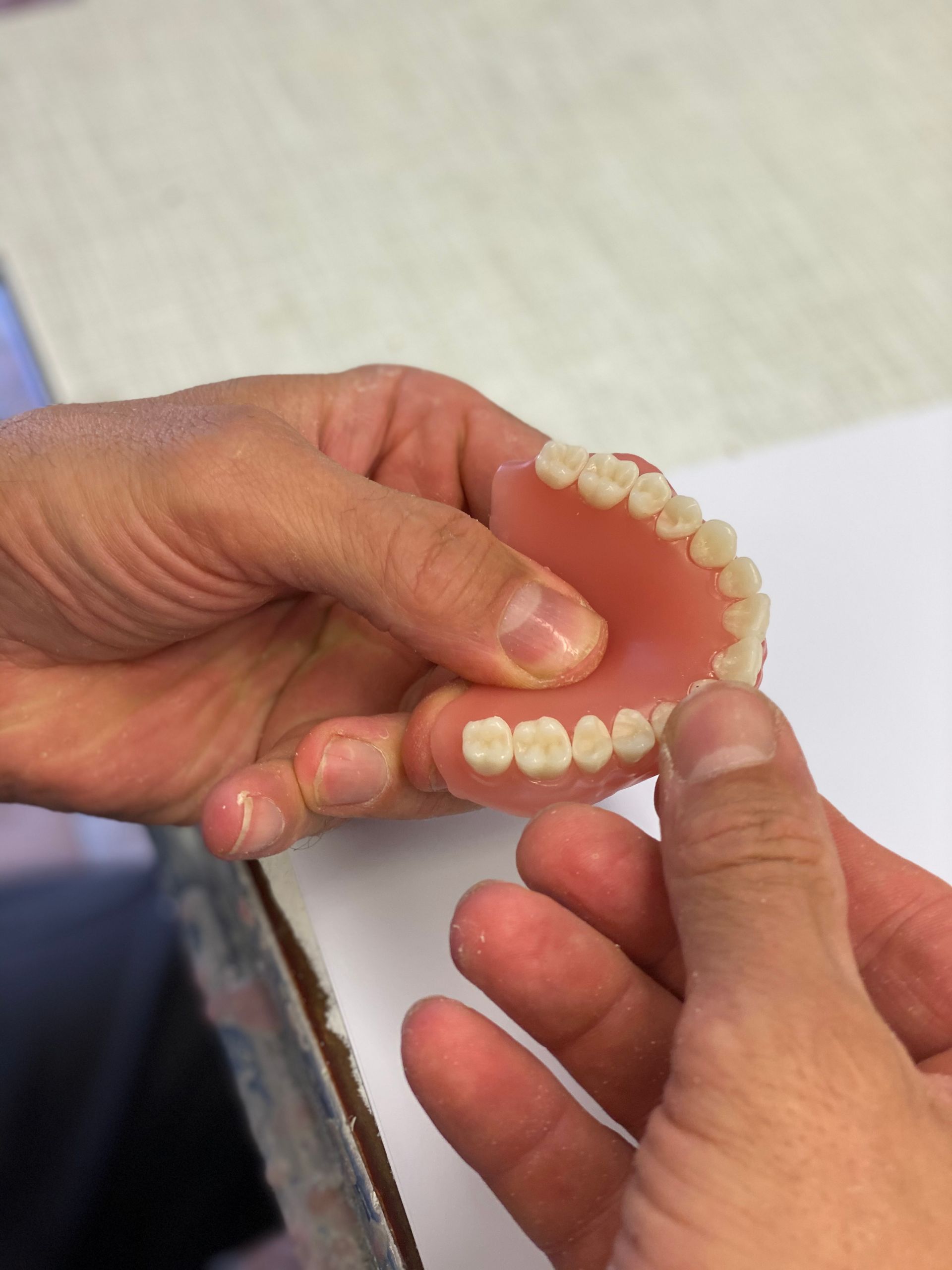 Hands Holding a Set of Dentures With a Pink Base and White Teeth — My Denture Clinic in Tamworth, NSW