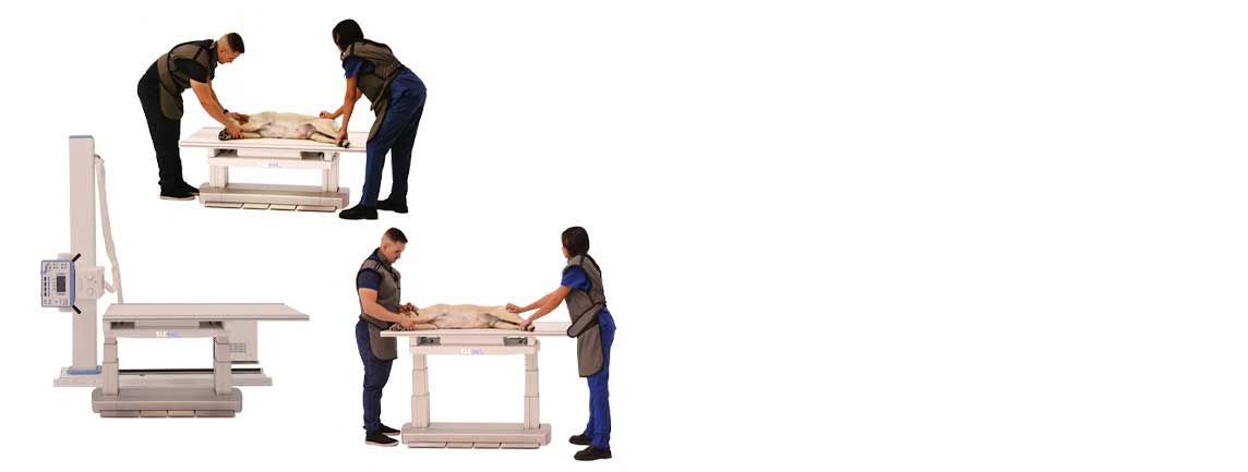 Veterinarians positioning a dog on an x-ray table in a clinic, with an x-ray machine on the left.