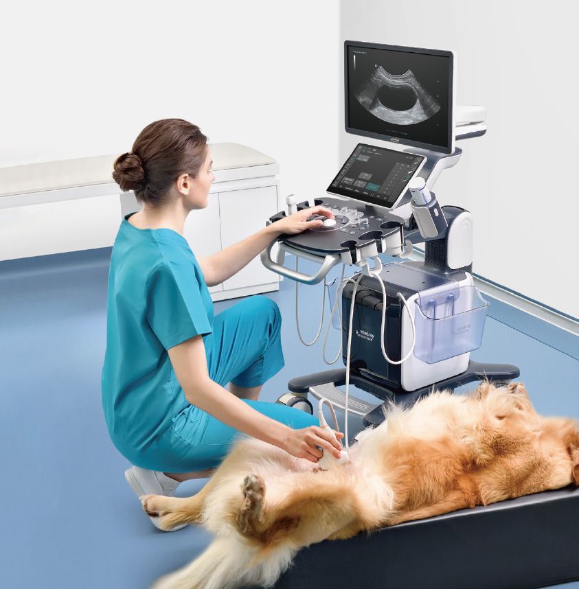 MINDRAY M7 — X-Ray Equipment in Texas