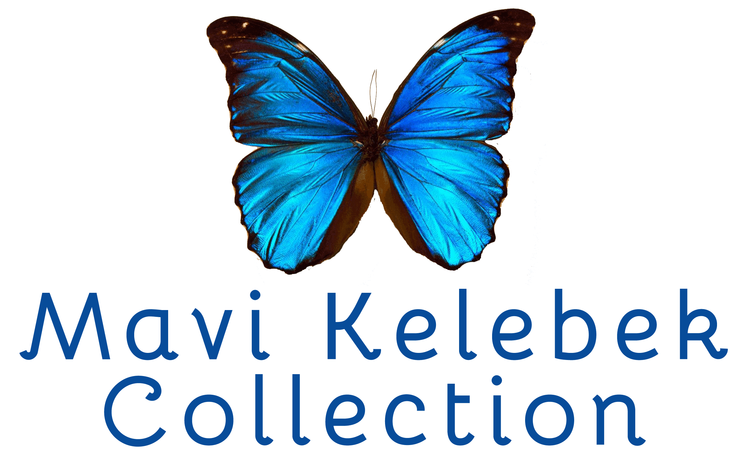 Mavi Kelebek Collection 05389651335 Ümraniye, İstanbul Mavi Kelebek Collection 05389651335 Ümraniye, İstanbul