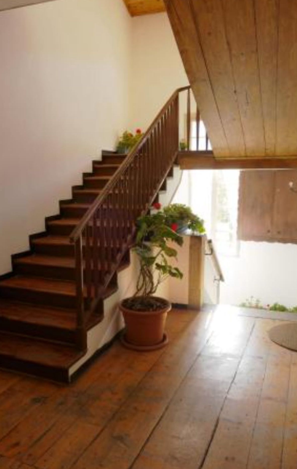 Una scala di legno con una pianta al centro