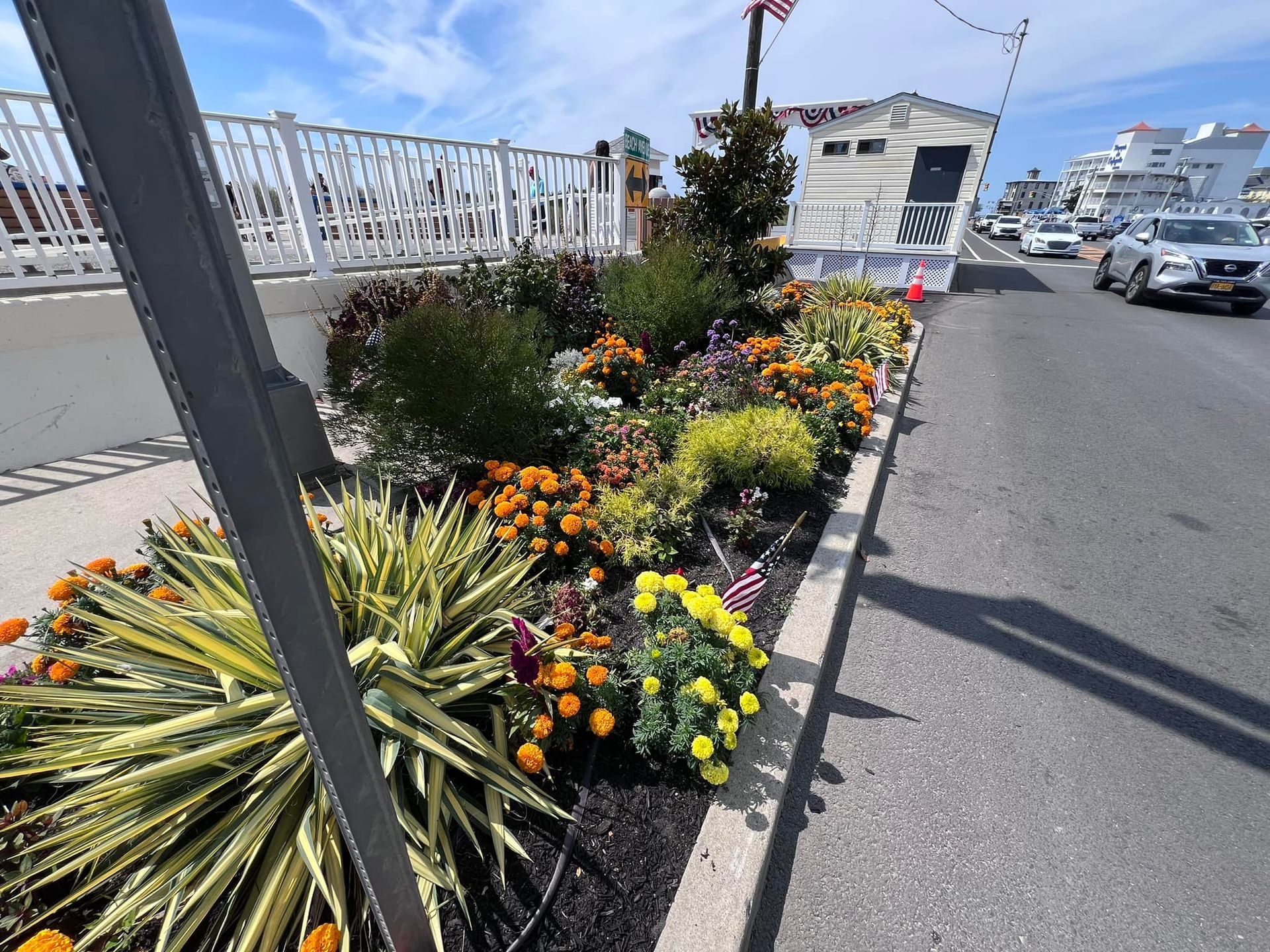 A row of flowers on the side of a road